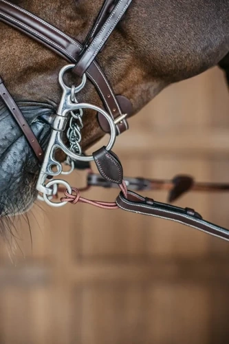 Łącznik do pelhamu Dy'on