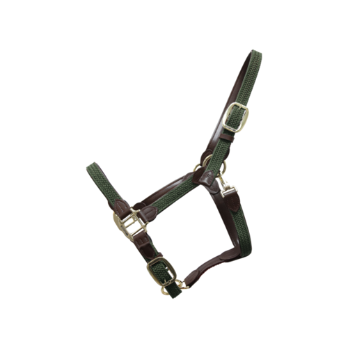 Plaited Nylon Halter Kentucky