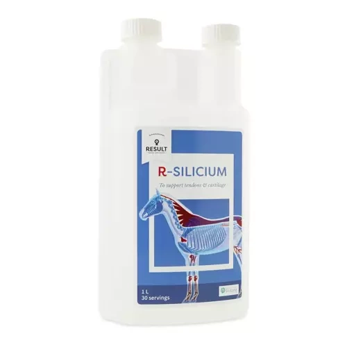 Suplement diety R-SILICIUM Result
