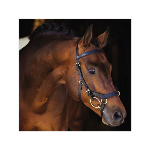 Bridle Rambo Micklem Multibridle