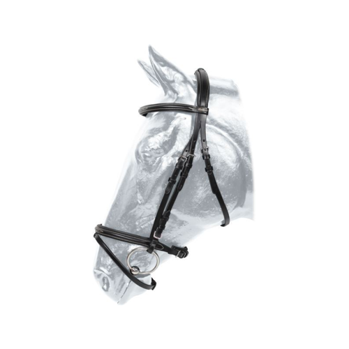 Bridle HARTFORD Kentaur