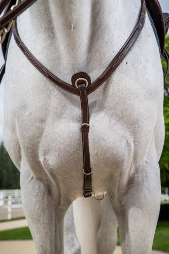 DYON Hunter Collection breastplate with stitching