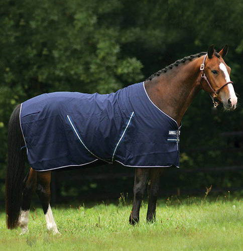 Stable Sheet Rambo