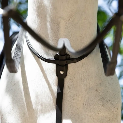 RUNNING Antares martingales