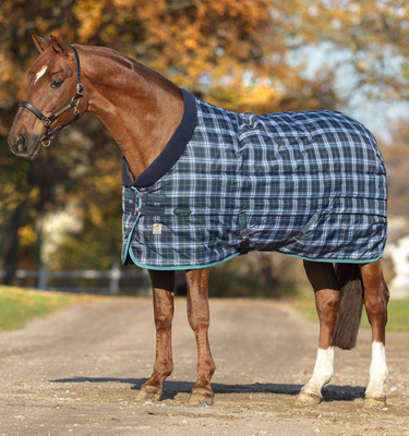 Navy Check/Indigo
