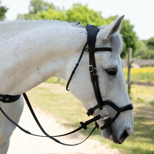 PRECISION Y NOSEBAND Antares bridle