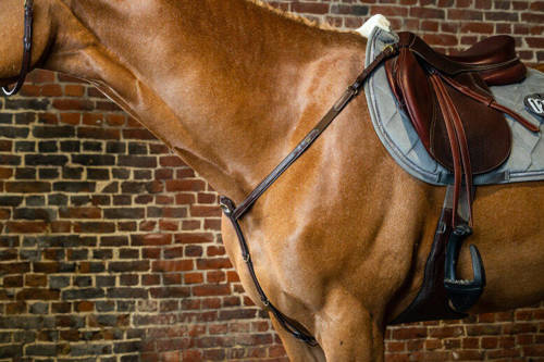 Fancy DYON Collection breastplate