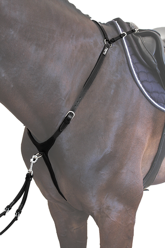 Breastplate with martingale ARRAS Kentaur