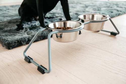 Miska dla psa COMFORT FEEDER Kentucky