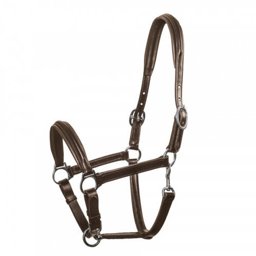 Halter ULM Schockemohle