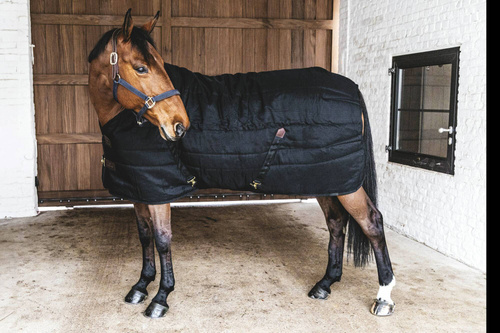 Stable rug Classic Kentucky 200g